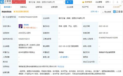 信息系统集成服务 构建高效与智能的未来